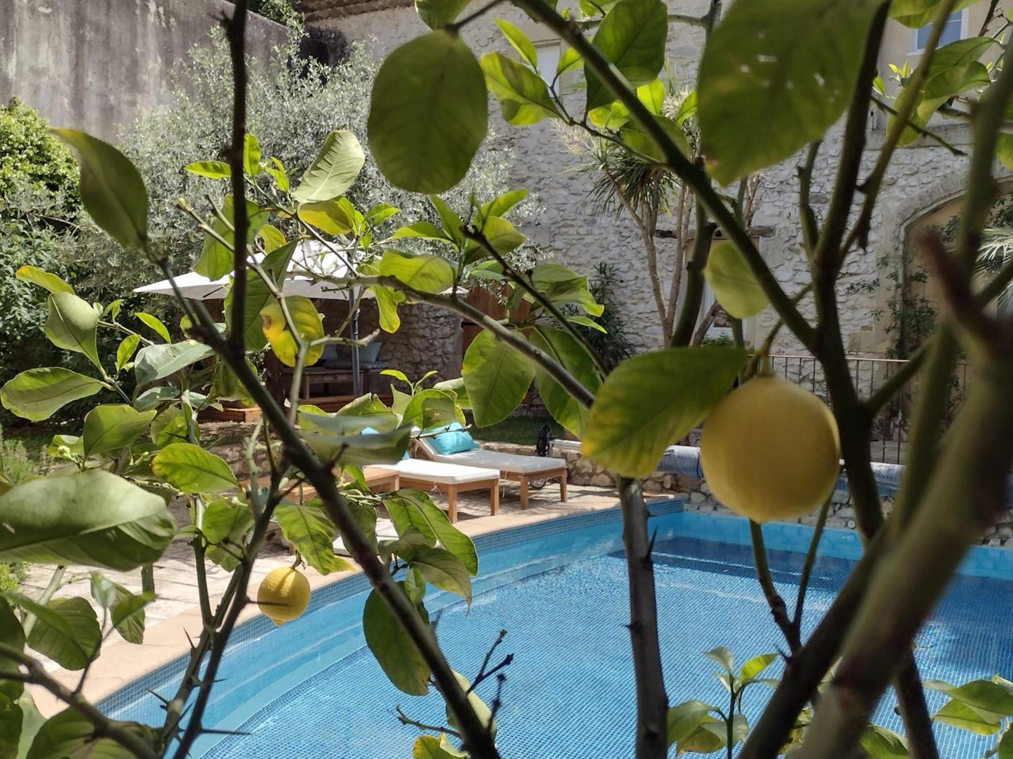 La Maison Des Autres, Piscine Chauffee, Chambres D'Hotes Proches Uzes, Nimes, Pont Du Gard Saint-Genies-de-Malgoires Ngoại thất bức ảnh